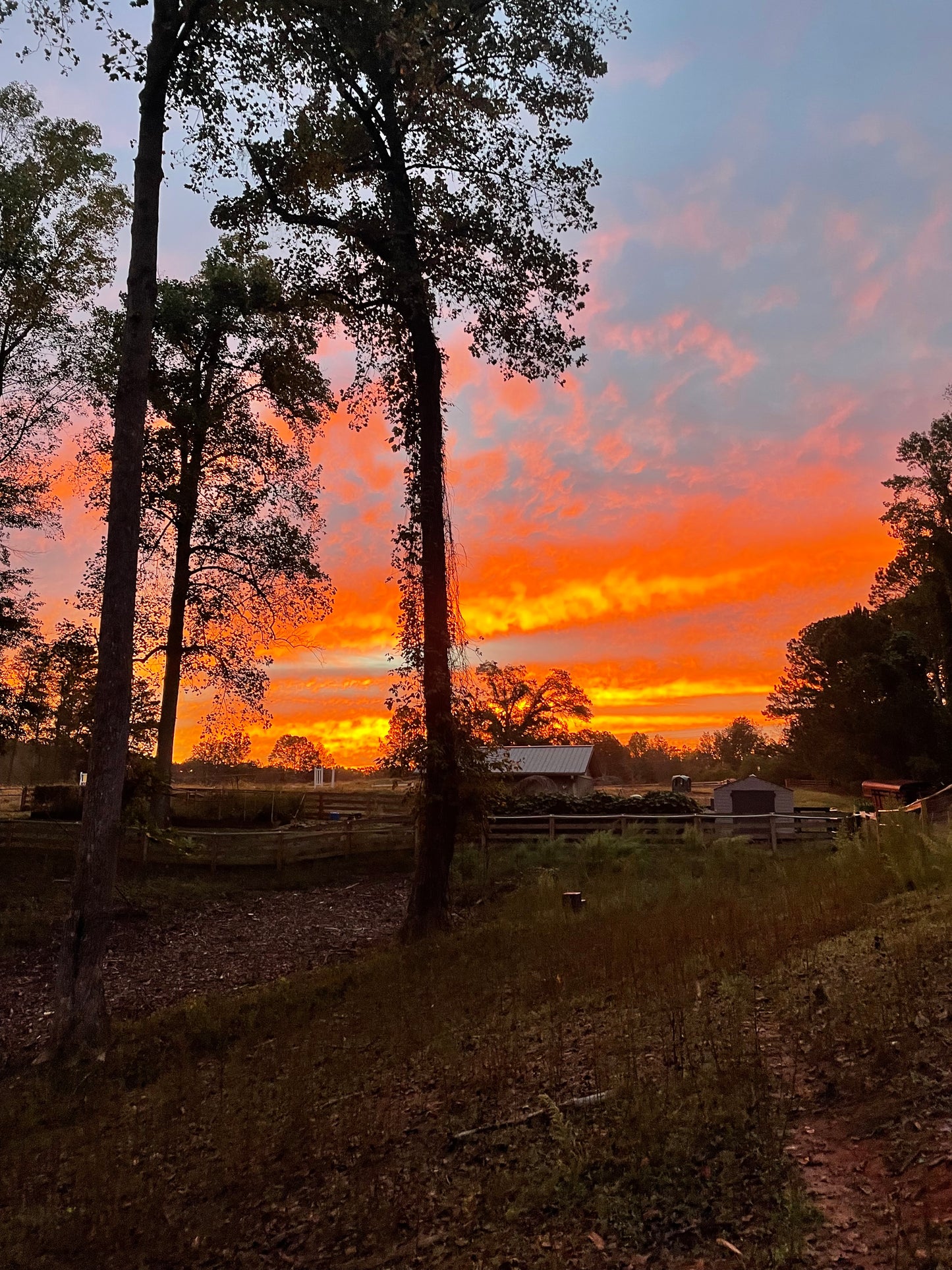Evening Retreat Box - Summer 2026