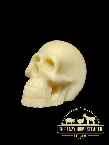 Skull