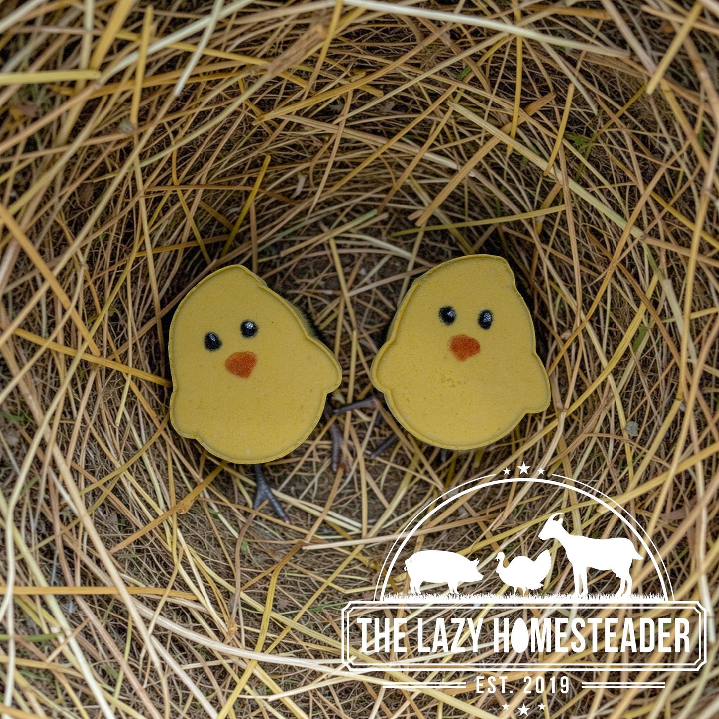The Lazy Homesteader LLC Chick bath bomb shaped like a yellow chick with black eyes and orange beak, nestled in straw.