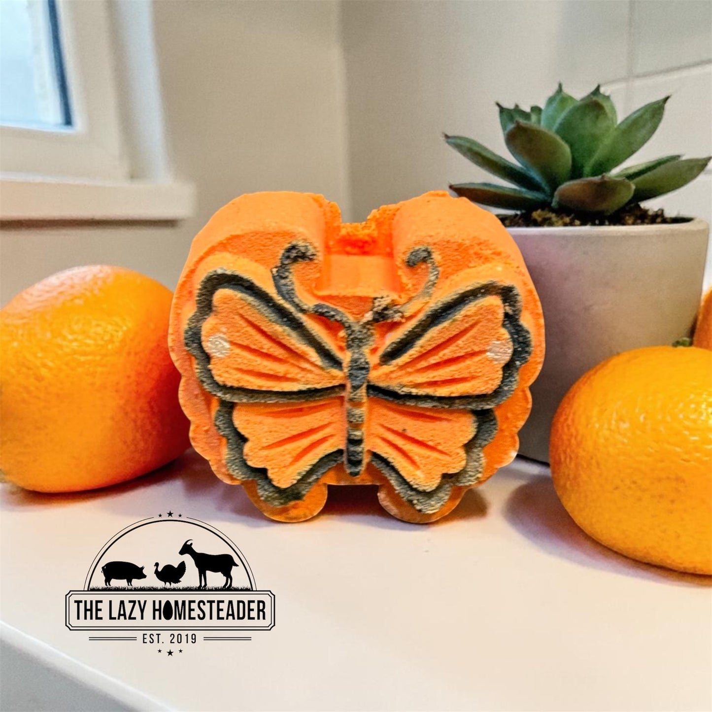 The Lazy Homesteader LL C orange butterfly bath bomb with detailed wings, next to oranges and a succulent.